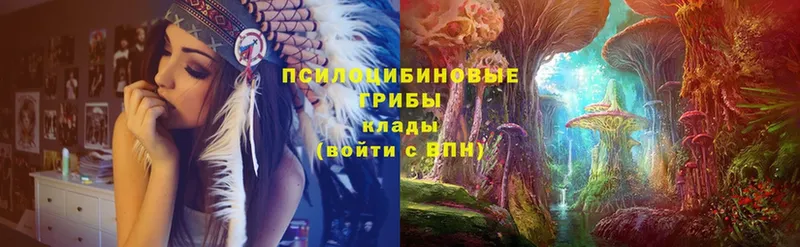 Галлюциногенные грибы Magic Shrooms  Горно-Алтайск 